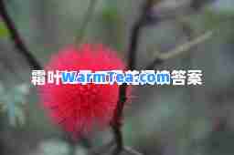 霜叶红于二月花阅读答案