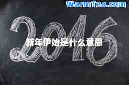新年伊始是什么意思