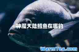 魔大陆鳕鱼在哪钓