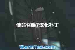 使召唤7汉化补丁