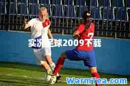 实况足球2009下载