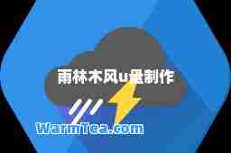 雨林木风u盘制作
