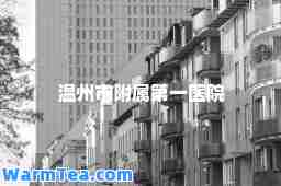 温州市附属医院