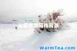 沁园春雪写作背景