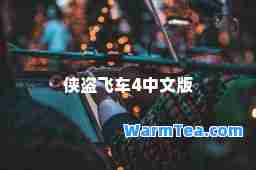 侠盗飞车4中文版