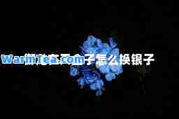 御龙在天金子怎么换银子