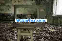 切尔诺贝利的阴影