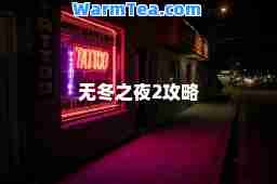 无冬之夜2攻略