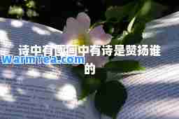 诗中有画画中有诗是赞扬谁的