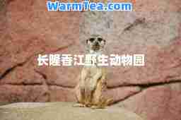 长隆香江野生动物园