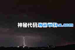 秘代码迅雷下载