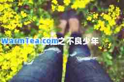 年少轻狂之不良少年