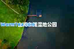 上海东滩湿地公园