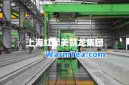 上海红星美凯龙集团