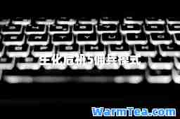 生化危机5佣兵模式