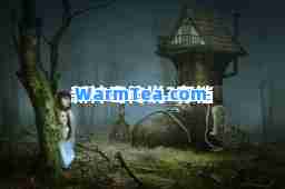 新神奇传说3存档