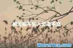 树无根不长人无志不立