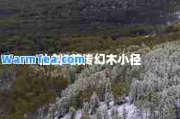 仙剑5前传幻木小径