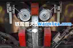 铁观音大战变形金刚