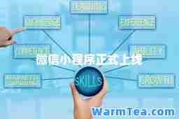 微信小程序正式上线