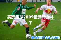 实况足球2009最新转会补丁