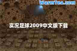 实况足球2009中文版下载