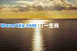 烟火绚丽打一生肖