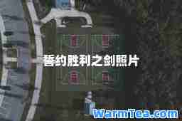 誓约胜利之剑照片