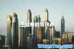 王健林的滑铁卢