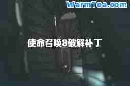 使命召唤8破解补丁