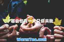 哪会怕有一天只你共我