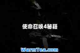使命召唤4秘籍