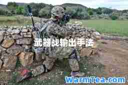 武器战输出手法