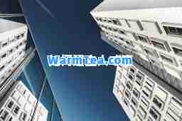 如何建立人才库