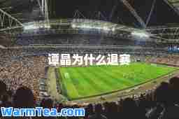 谭晶为什么退赛