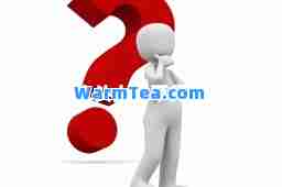 七人头上长草打一字