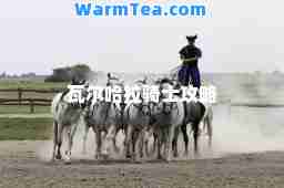 瓦尔哈拉骑士攻略