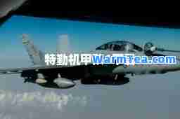 特勤机甲队6下载