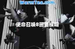 使命召唤8画面模糊