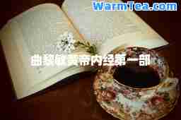 曲黎敏黄帝内经第一部