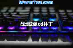 战地2免cd补丁