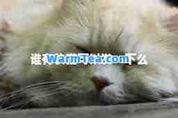 谁有快猫可以发一下么