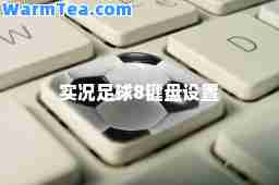 实况足球8键盘设置