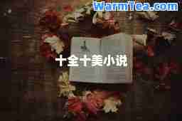 十全十美小说