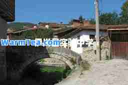 伊川县实验中学