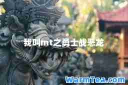 我叫mt之勇士战恶龙