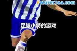 足球小将的游戏