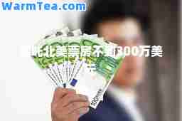 哪吒北美票房不到300万美元