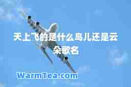 天上飞的是什么鸟儿还是云朵歌名