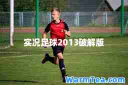 实况足球2013破解版